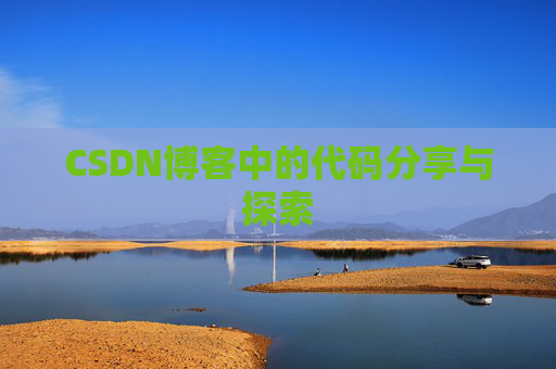 CSDN博客中的代码分享与探索